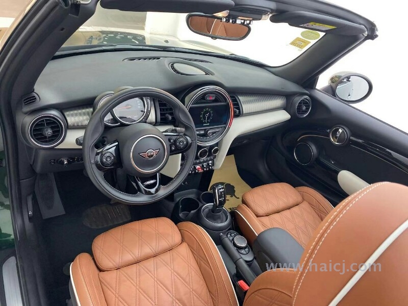 MINI Cabrio 1.5T 双离合 艺术家 2018款