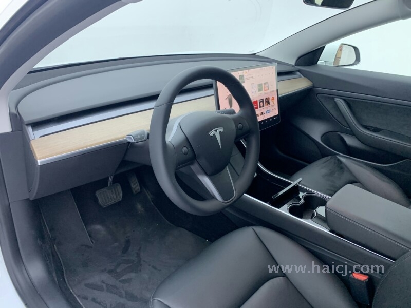 特斯拉 Model 3 标准续航后驱升级版 2019款