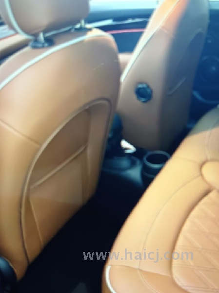 MINI Mini Cooper S 2.0T 双离合 艺术家 2023款 上海